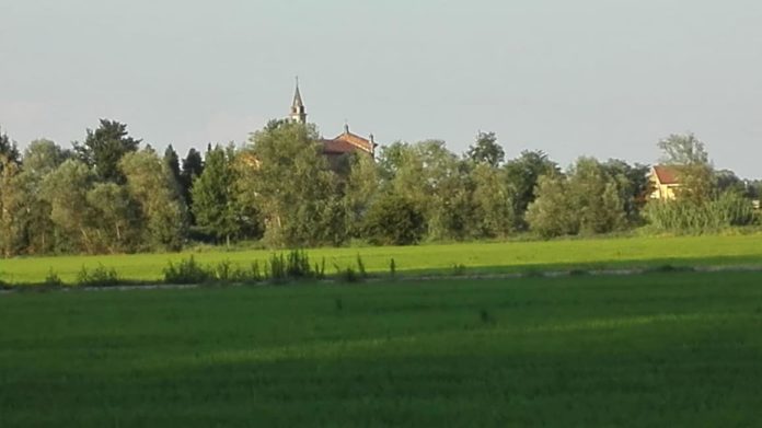Albonese