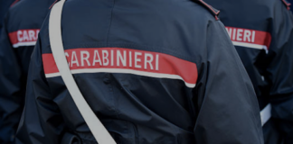 Mortara, controlli per due aziende agricole multe per 40mila euro