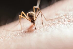 west nile