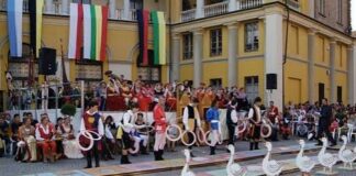 Mortara, countdown per la sagra dell’oca sagra salame d'oca Mortara