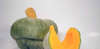 Dorno, tutto pronto per la sagra della zucca Bertagnina