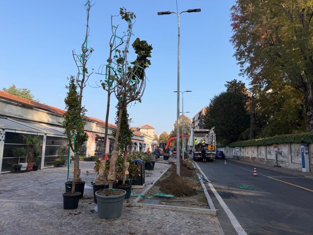 mercato coperto piante