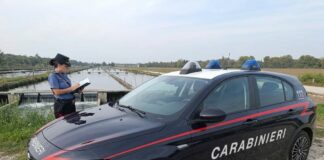 Furto di storioni da 20mila euro, cinque persone denunciate